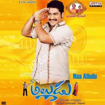 Main Hoon Gambler (Naa Alludu) Jr NTR in 2017 Full Movie